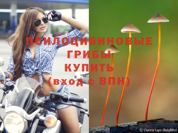 МДПВ Волосово