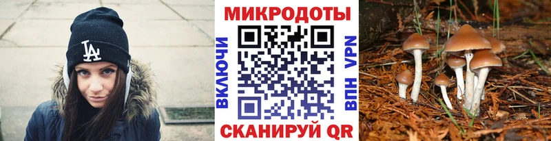 Галлюциногенные грибы GOLDEN TEACHER  купить наркотики цена  Канаш 